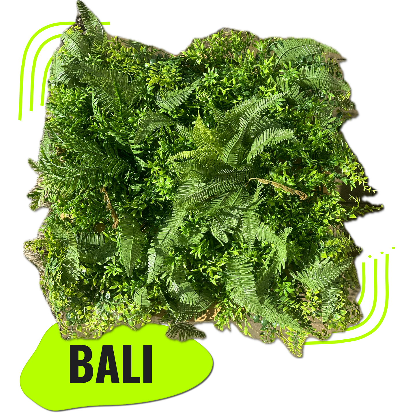 BALI - Dschungel Pflanzenwand