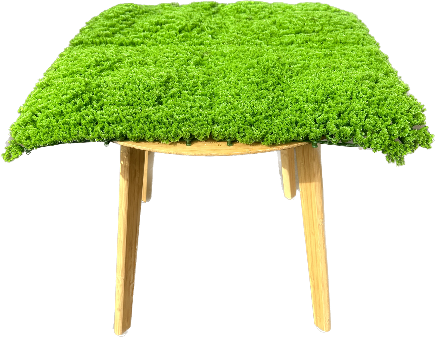 HELSINKI - Grüne Mooswand