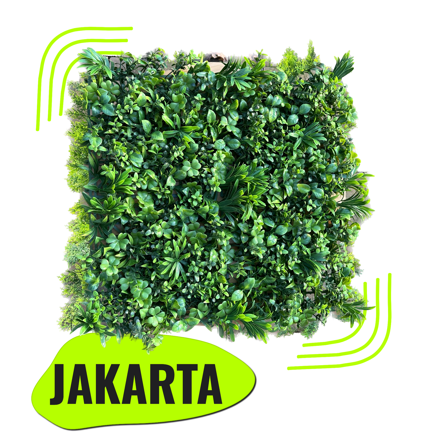 JAKARTA - Farn Pflanzenwand