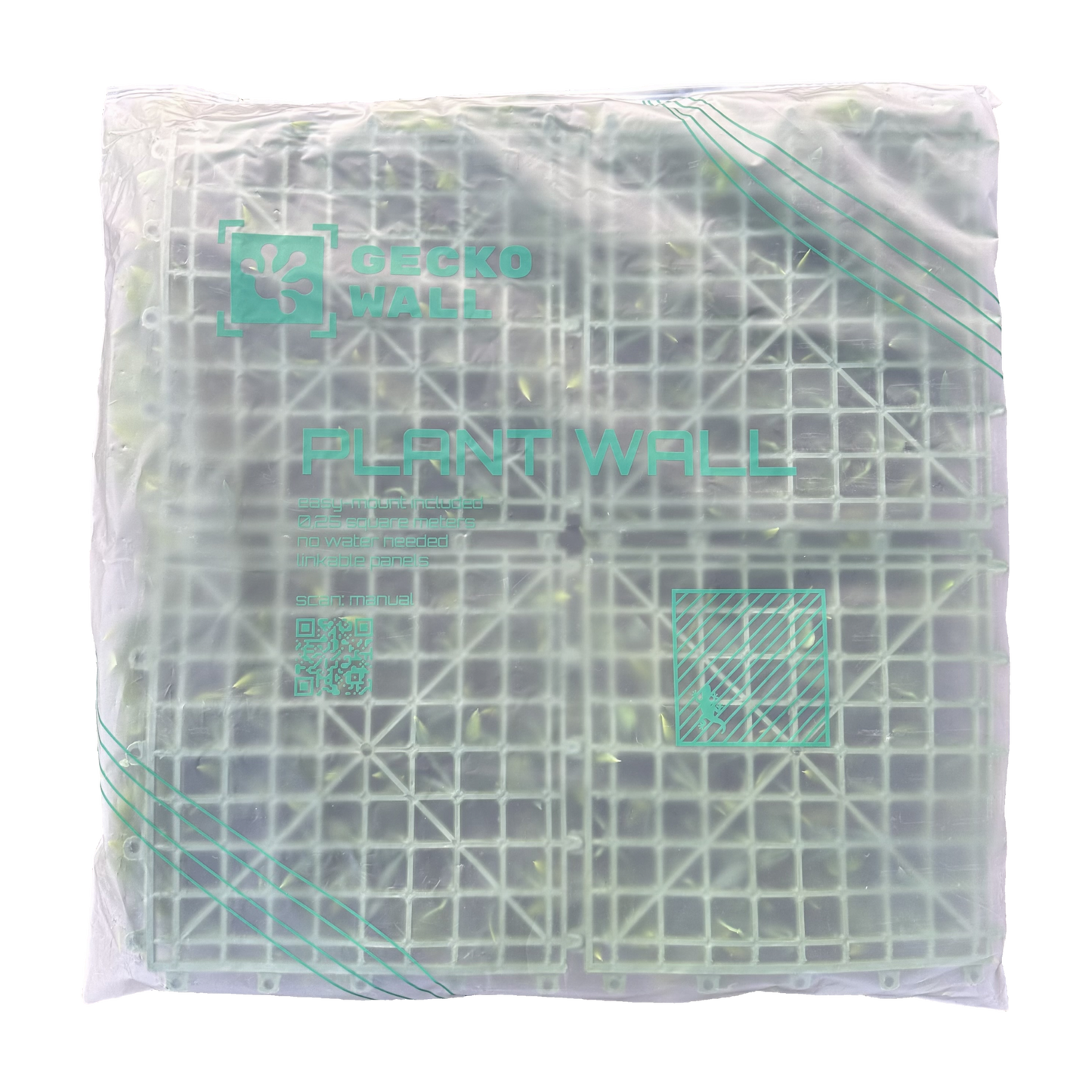 KIEL - Weiße Blütenwand