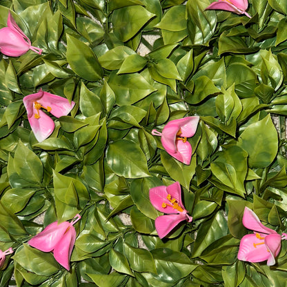 ANTALYA - Rosa Tulpen Blütenwand