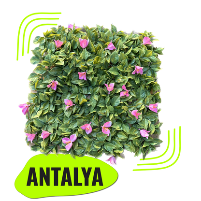 ANTALYA - Rosa Tulpen Blütenwand