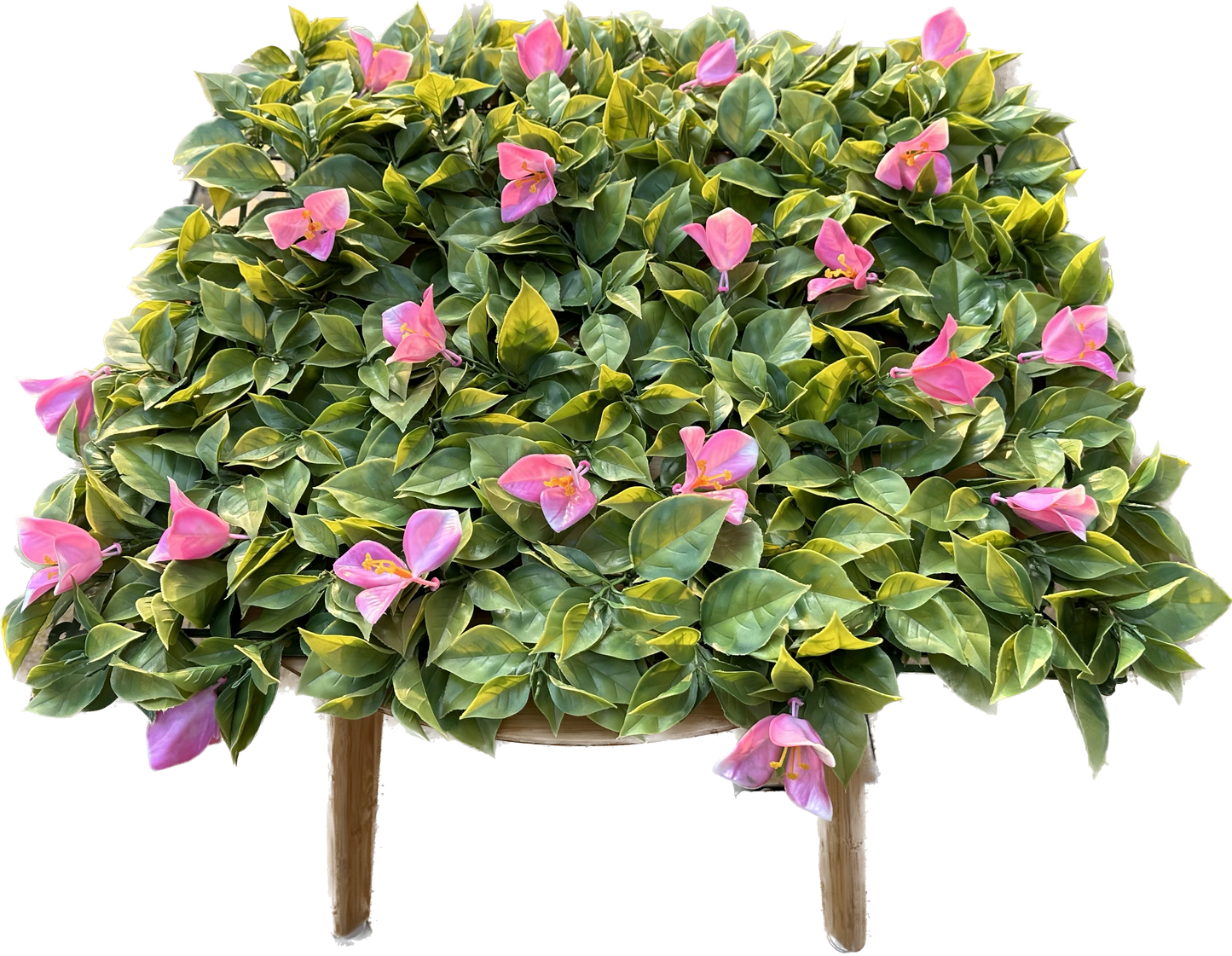 ANTALYA - Rosa Tulpen Blütenwand