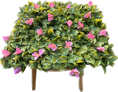 ANTALYA - Rosa Tulpen Blütenwand