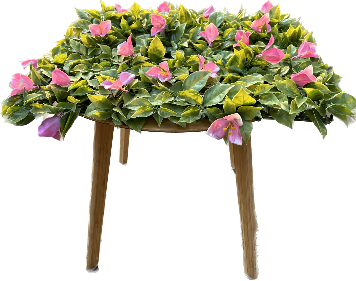 ANTALYA - Rosa Tulpen Blütenwand