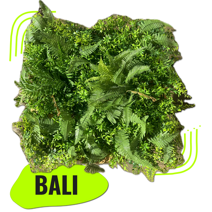 BALI - Dschungel Pflanzenwand