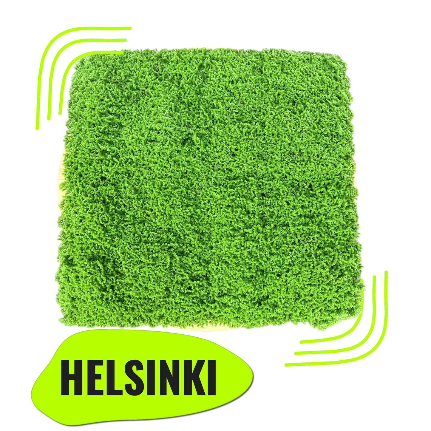 HELSINKI - Grüne Mooswand
