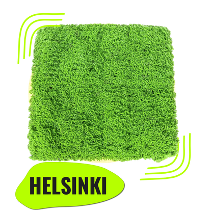HELSINKI - Grüne Mooswand