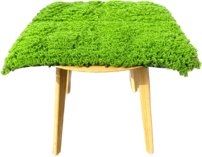 HELSINKI - Grüne Mooswand