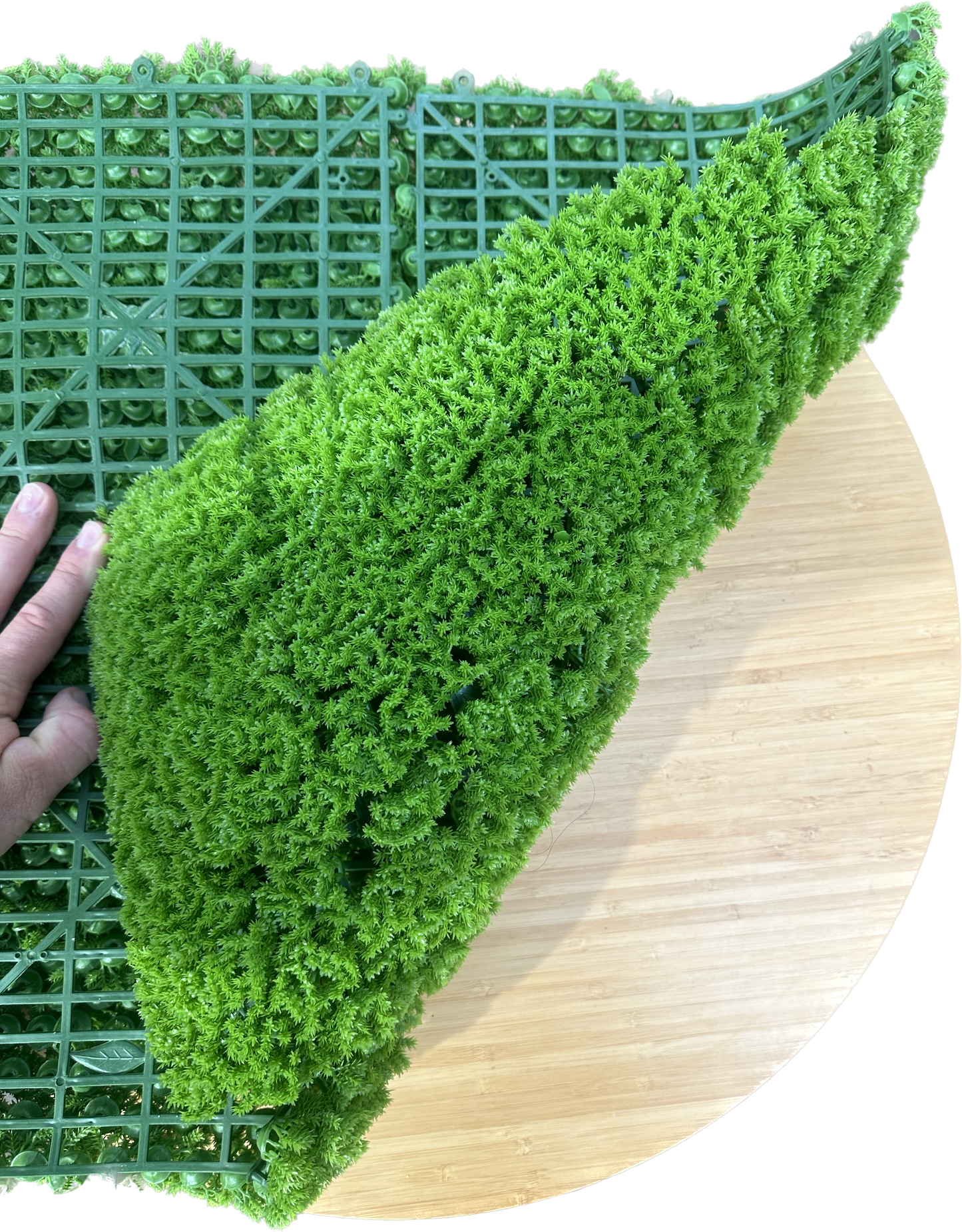 HELSINKI - Grüne Mooswand