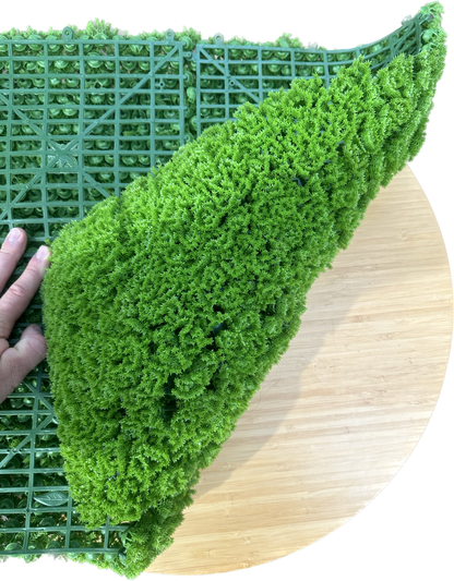 HELSINKI - Grüne Mooswand