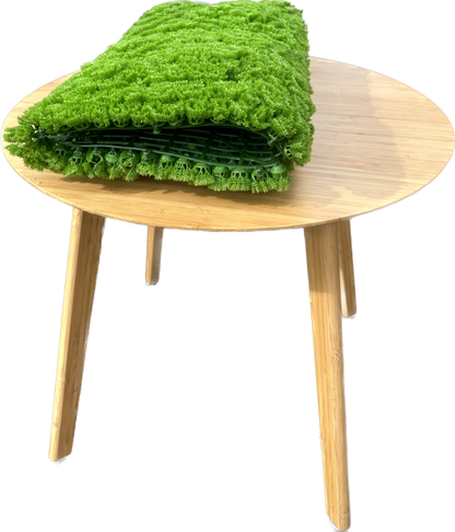 HELSINKI - Grüne Mooswand