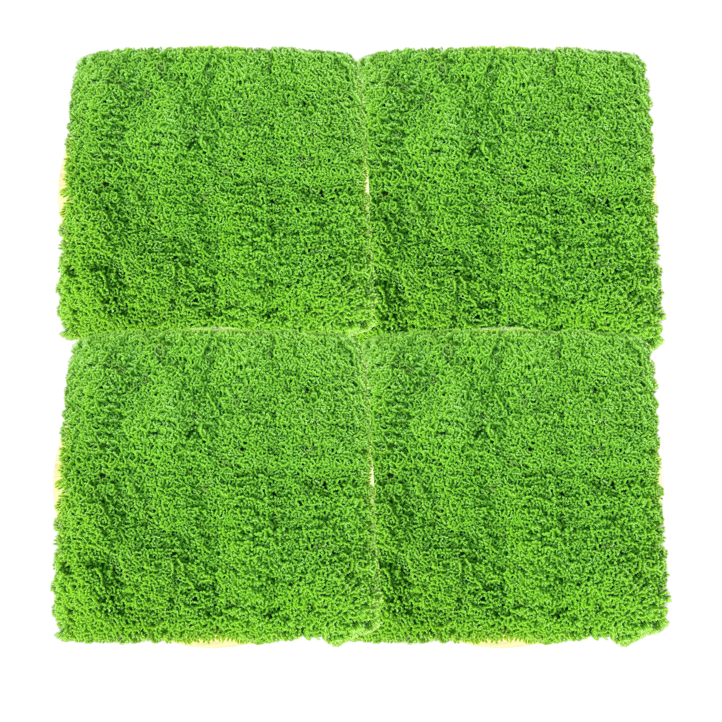 HELSINKI - Grüne Mooswand