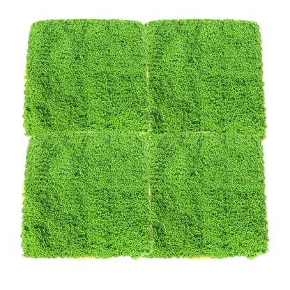 HELSINKI - Grüne Mooswand