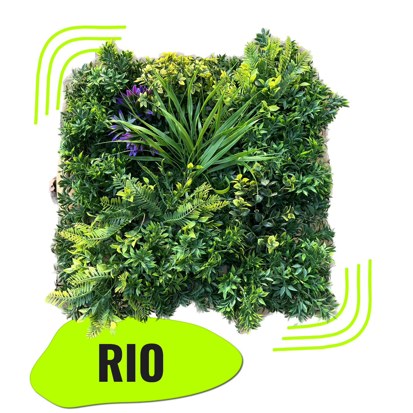 RIO - Dschungel Pflanzenwand