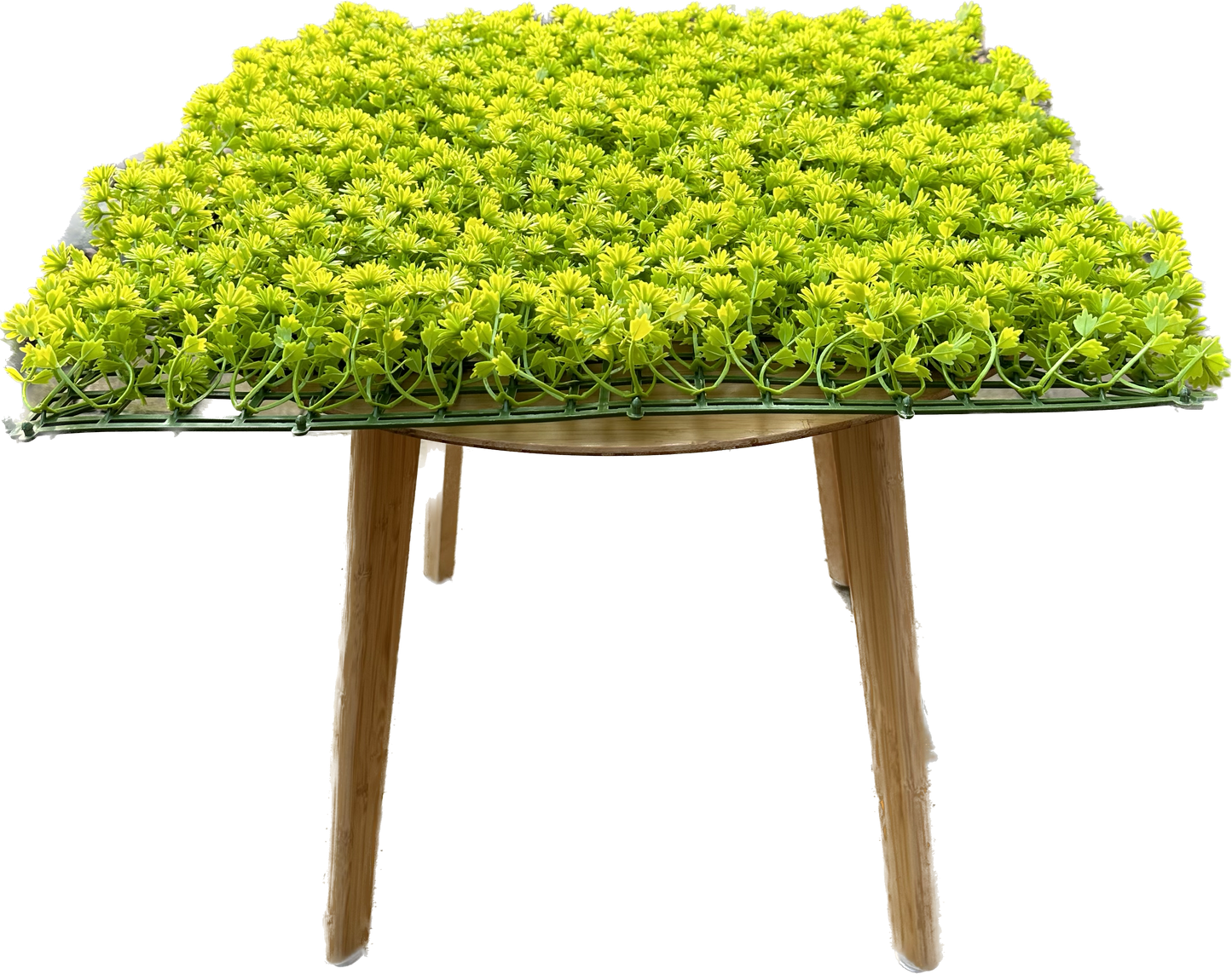 ULM - Grüne Blütenwand